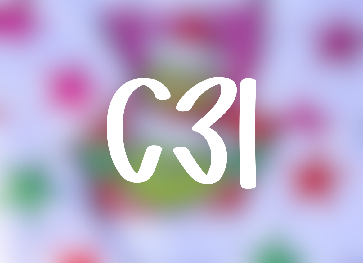 C31 - Youth + Adult Sweatshirts