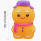 Gingerbread Squishy *CIJ SPECIAL*